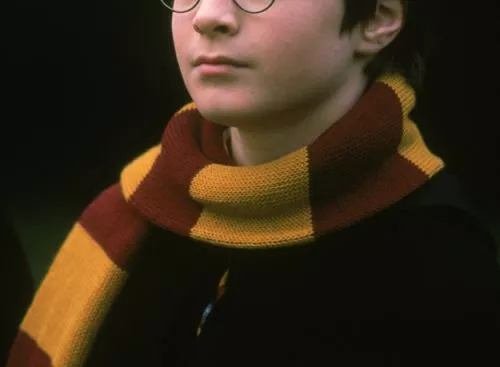 HarryPotterandThePhilosophersStone25thAnniversary_134312717584794095_big-cine_deskt.webp