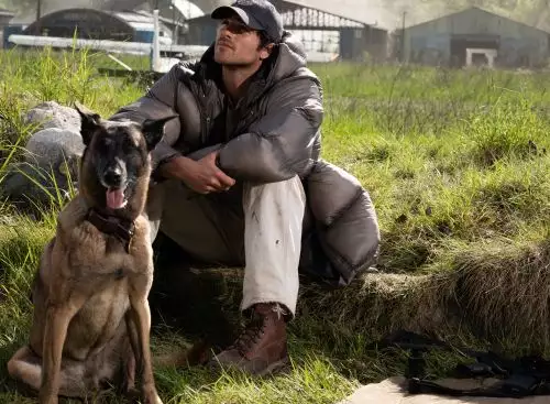 DogStars_134294532027352741_big-cine_deskt.webp