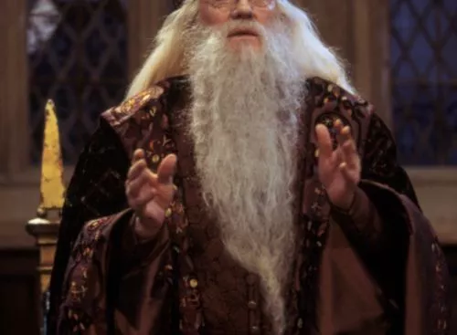 HarryPotterandThePhilosophersStone25thAnniversary_134312717592120593_big-cine_deskt.webp